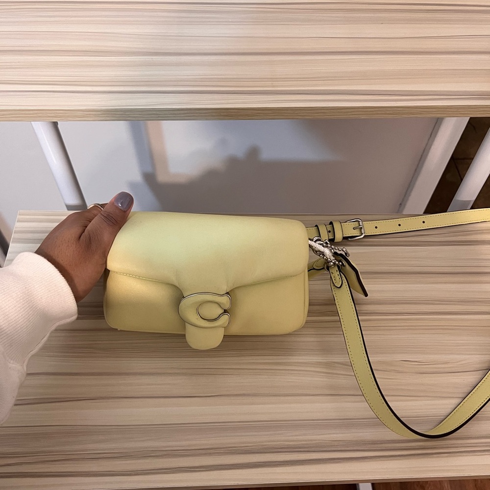 Coach Pillow Shoulder Bag 18